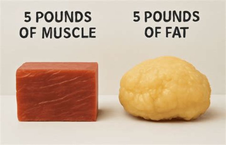 Does Muscle Weigh More Than Fat? (And Why It Matters)