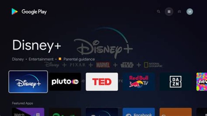 Does the Chromecast with Google TV support the Play Store?
