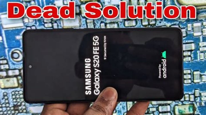 Does the Samsung Galaxy S20 FE actually have a display problem?