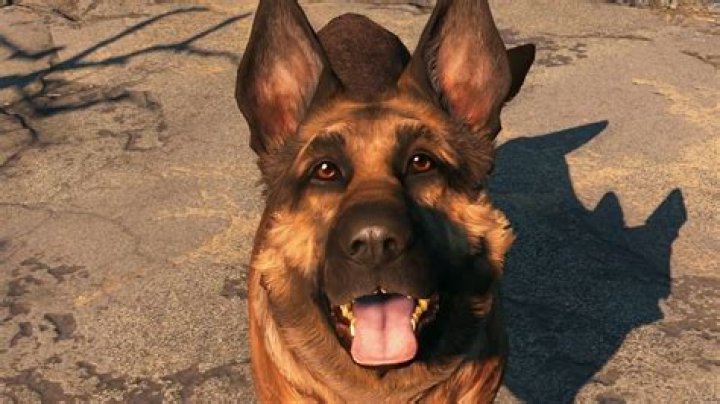 Dogmeat | Fallout 4 Companion