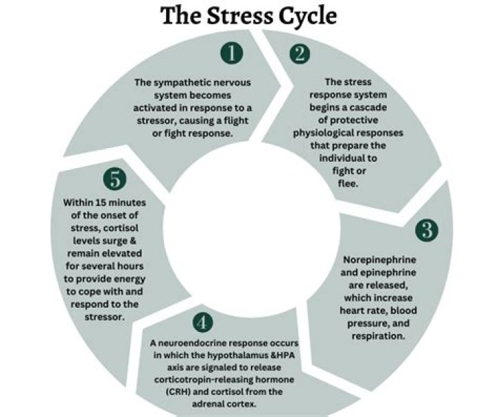 Doing 3 Of These 10 Things Means You're Stuck In A Stress Response