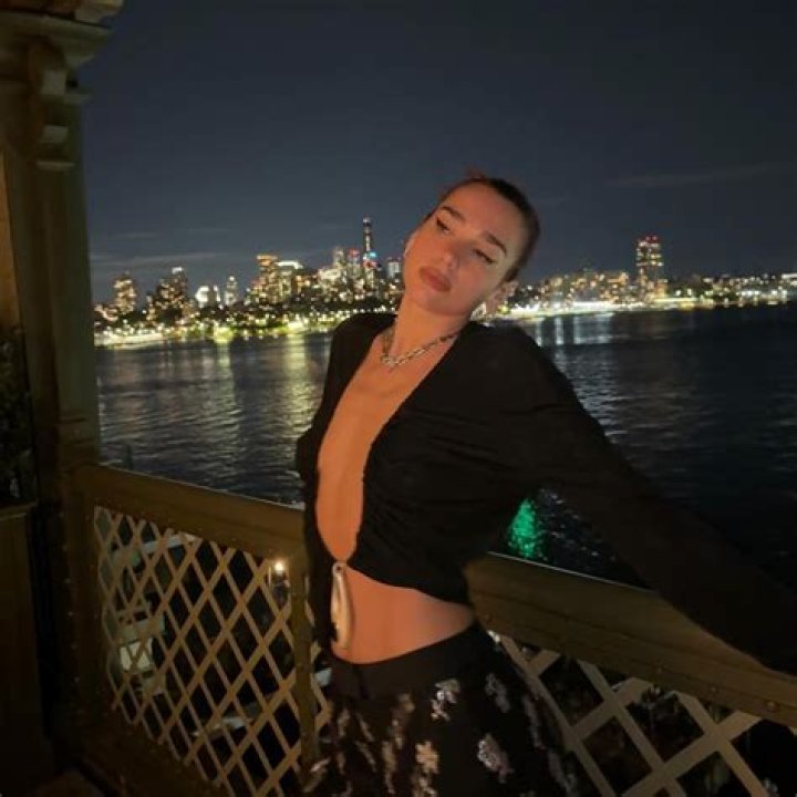 Dua Lipa Wore a Tiny Checkered Crochet Bikini