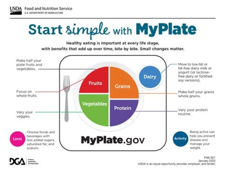 Eat for the health of it with MyPlate
