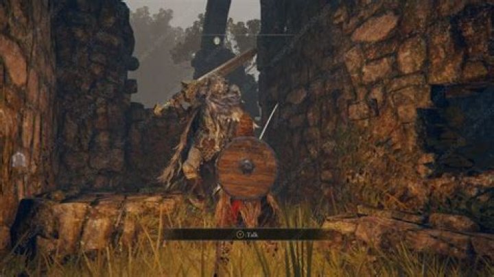 Elden Ring Blaidd Location, Not Appearing in Mistwood Ruins