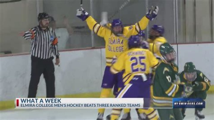 Elmira College Men's Ice Hockey Program Information