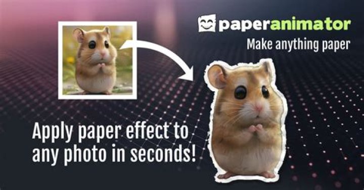 Exploring The World Of PaperAnimator.com: A Comprehensive Guide To Animation Creation