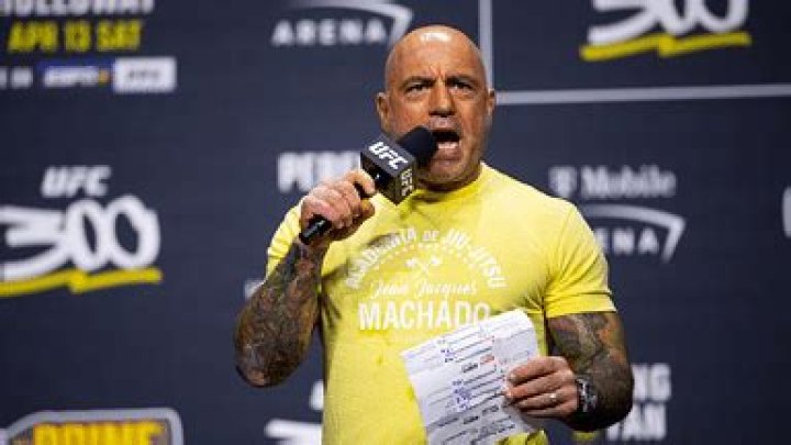 Fact Check: Does Popular UFC Commentator Joe Rogan Have Vitiligo?