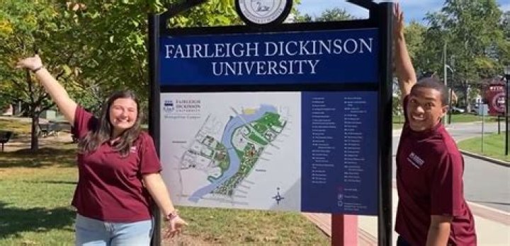 Fairleigh Dickinson University - College at Florham Women's Volleyball Program Information