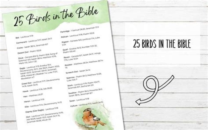 Feathers Of Faith: Understanding What Birds Represent In The Bible