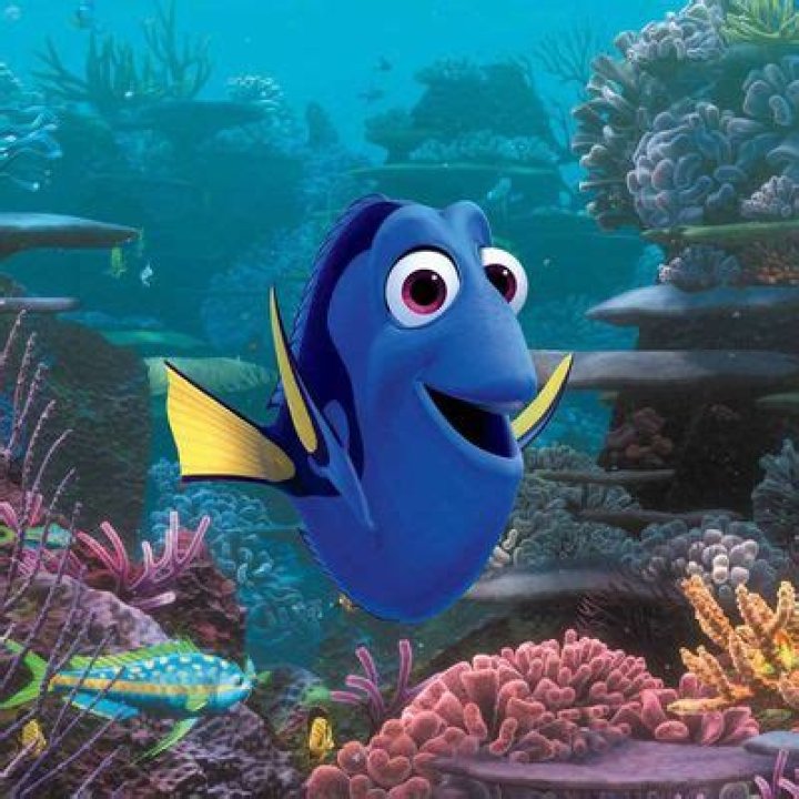 Finding Dory Finds New Delights in a Familiar Setting