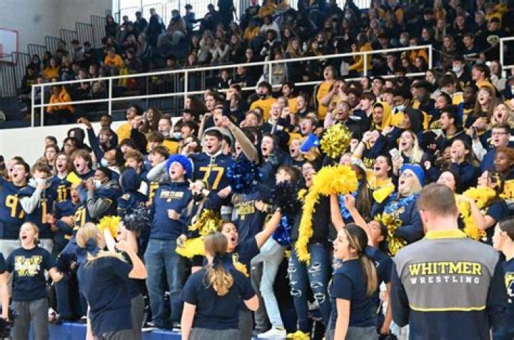 Football Recruiting | Whitmer High School