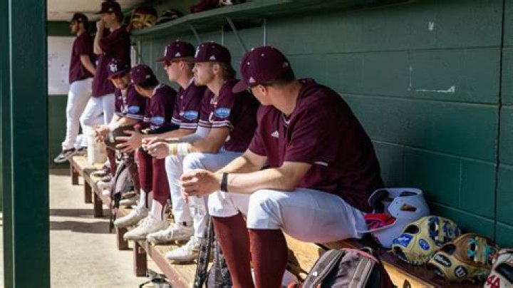Freed-Hardeman University Baseball Scholarships Guide