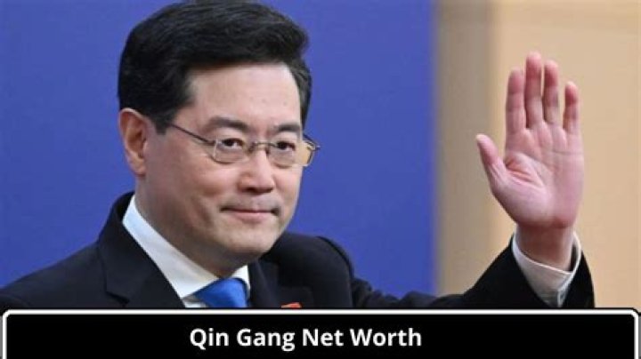 Gang Qin Net Worth (2024) | wallmine