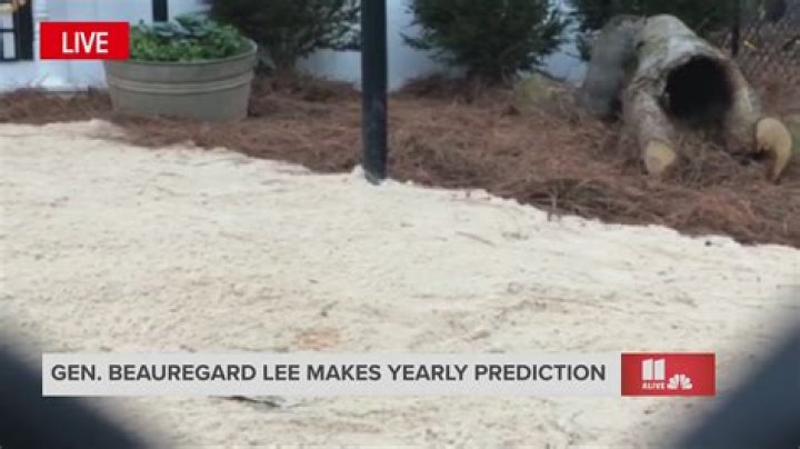 Gen Beauregard Lee Georgia groundhog winter prediction stream