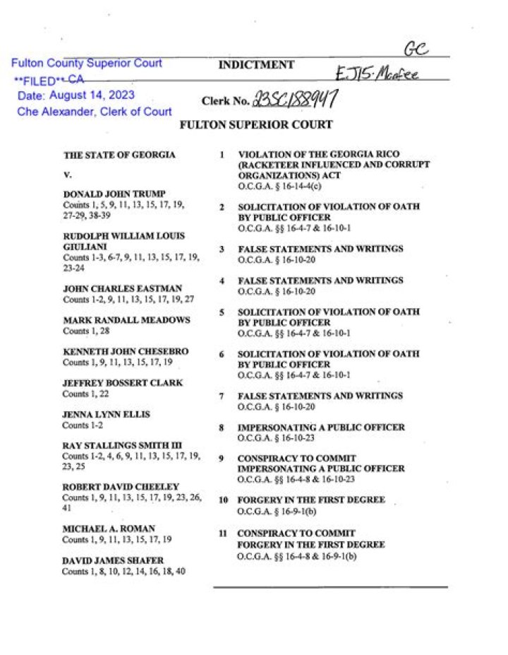 Georgia indictment document PDF how to download