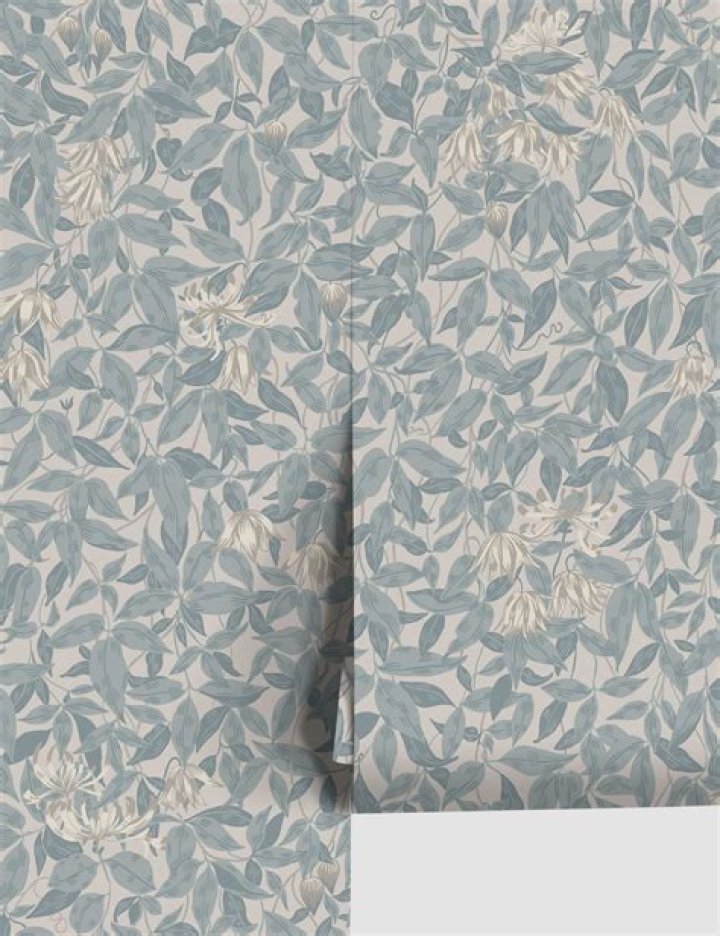 Georgia wall surrounded in mystery