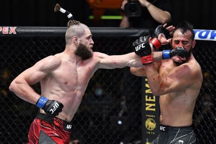 “Glover Teixeira’s like a dog” Daniel Cormier endorses Light Heavyweight champion’s raging fighting style