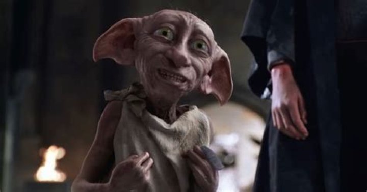 Harry Potter Fans Are Probably Killing Seals in Dobby’s Name