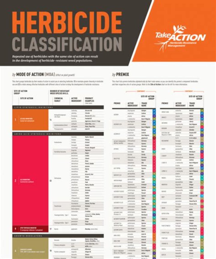Herbicide Options for Management of Longleaf Pine