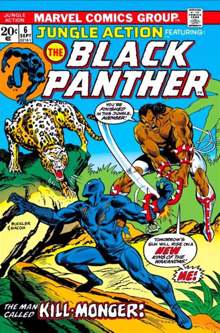 How an Untested Young Comics Writer Revolutionized Black Panther