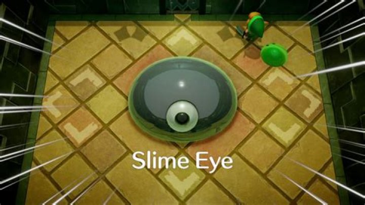 How do you beat the slime boss in Link’s Awakening?