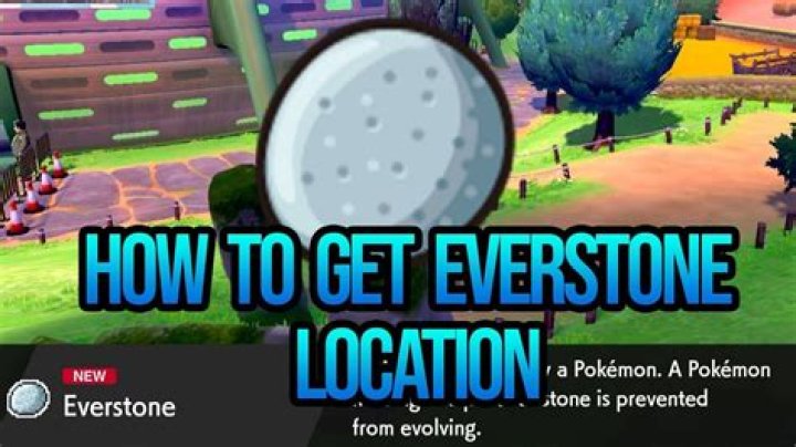 How do you get an everstone in pokemon ash gray?