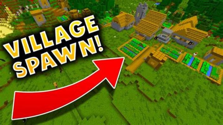 How do you make a villager spawn in an empty village?