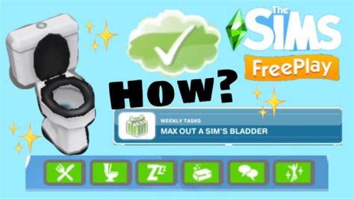 How do you max out a Sims bladder in Sims Freeplay?