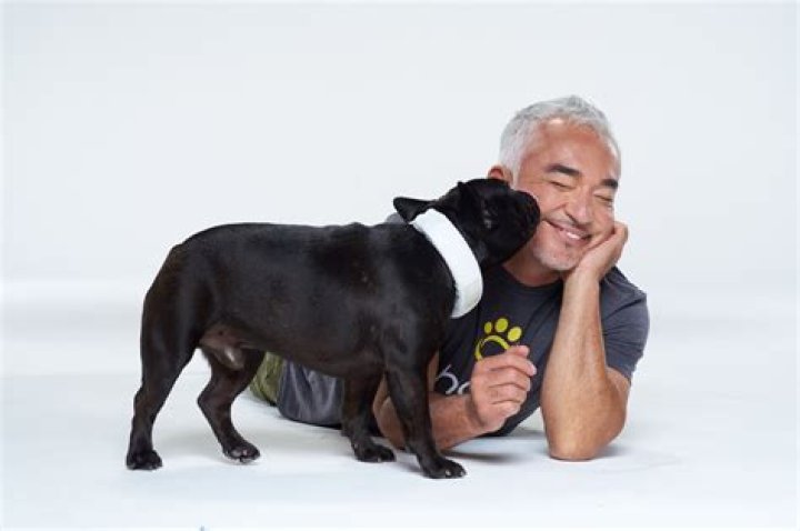 How Much Does Cesar Millan Make
