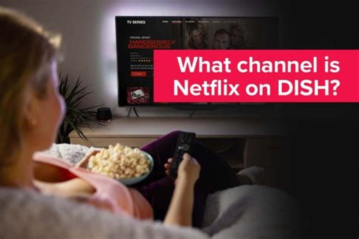 How Much Is Netflix a month on DISH?