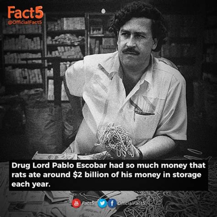 How Much Money Did Pablo Escobar Make Per Week?