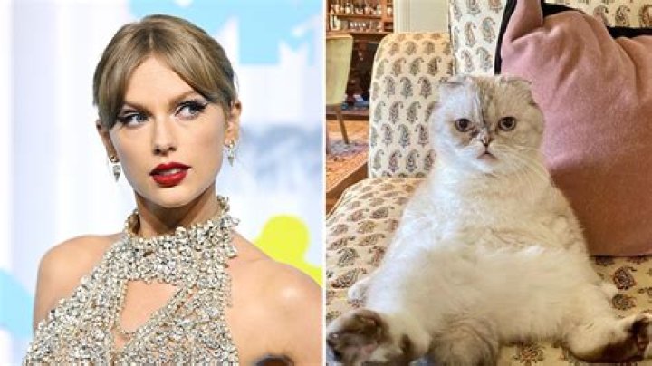 How One Of Taylor Swift's Cats Allegedly Became Worth $97 Million