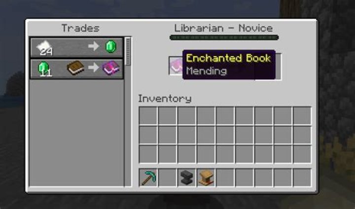 How rare is a mending book?