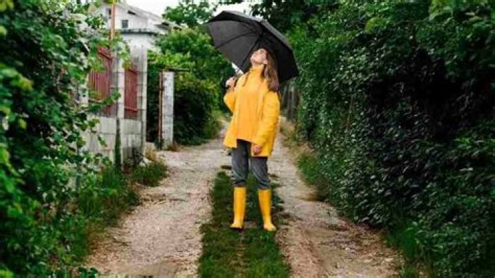 How Tall Is Sophie Rain? Unveiling The Height And More
