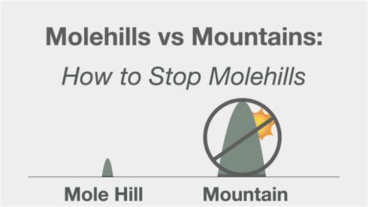 How to rid your lawn of mountains of molehills