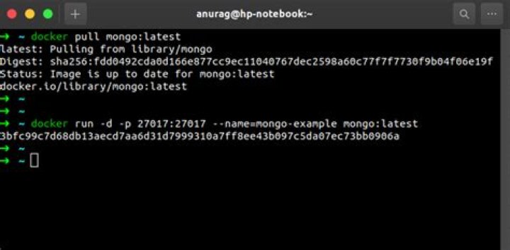 How To Run MongoDB as a Docker Container