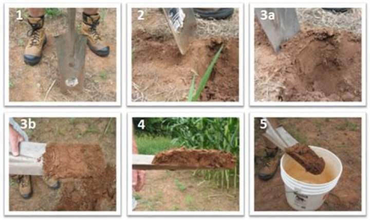 How to Take a Soil Sample
