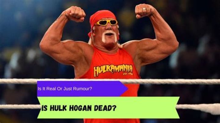 Hulk Hogan Is NOT Dead! | News, Scores, Highlights, Stats, and Rumors