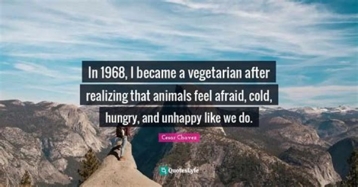 I Became A Vegetarian For 7 Days And Here's What Happened