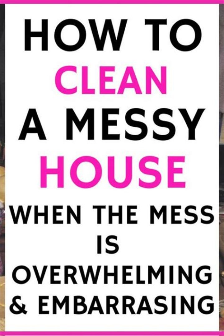 I Need To See Your Messy House