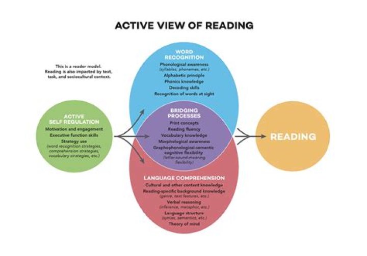 Instructors Say College Students Are Behind On Reading Skills And Everyone Is In Denial About It