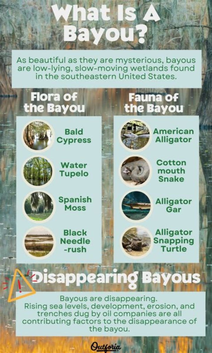 Is a bayou?