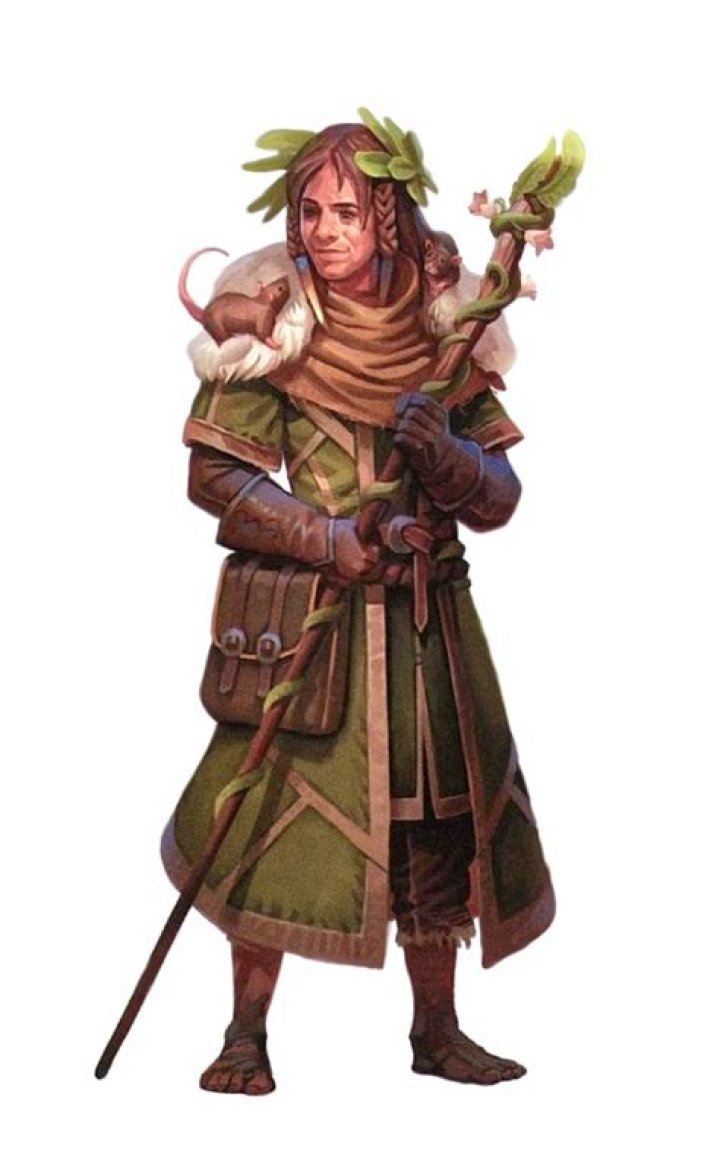 Is D&D Druid class good?
