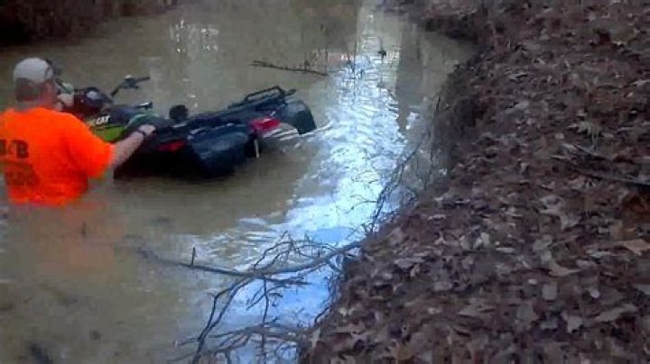 Is drowning a cat humane?