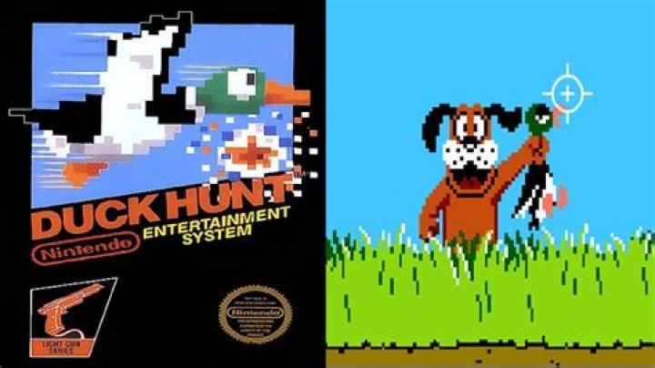 Is Duck Hunt a horror game?