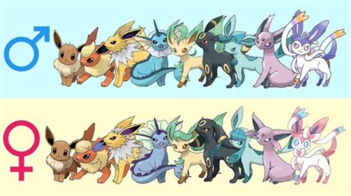 Is Eevee a girl or boy?