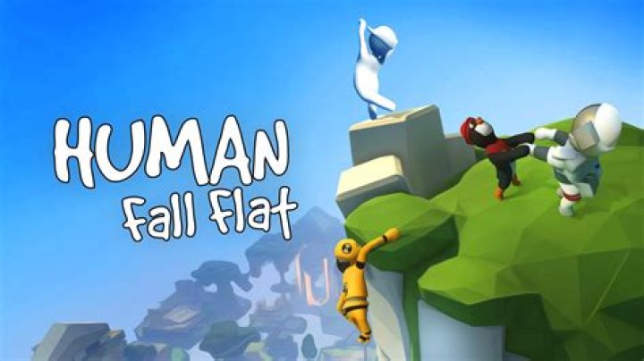 Is human fall flat free on?