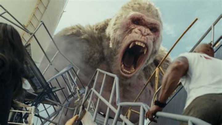 Is Rampage 2009 a true story?