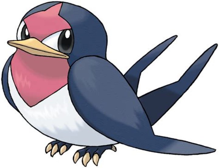 Is Taillow or Wingull better?