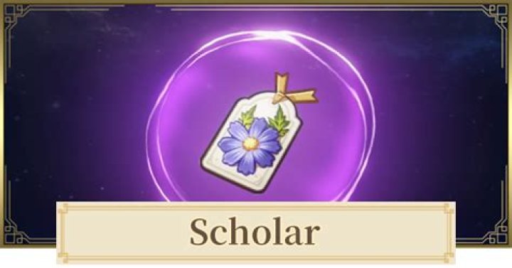 Is the scholar set good Genshin?